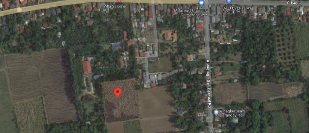 Agricultural lot for Sale in Alitagtag, Batangas